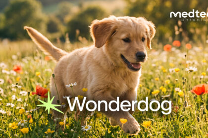 Wonderdog Secures $5 Million