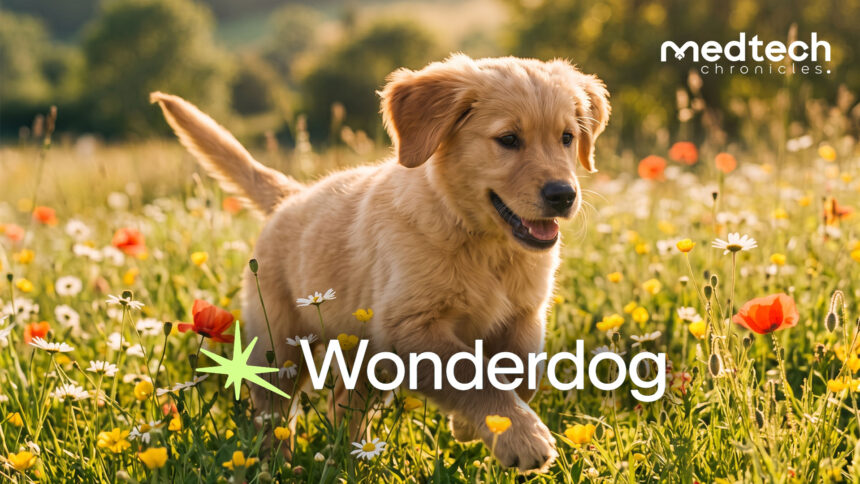 Wonderdog Secures $5 Million