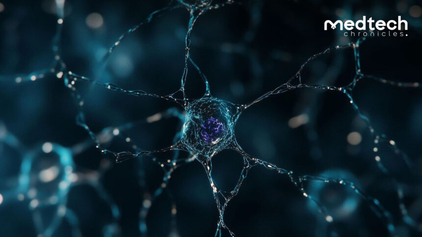 Leal Therapeutics $30M funding